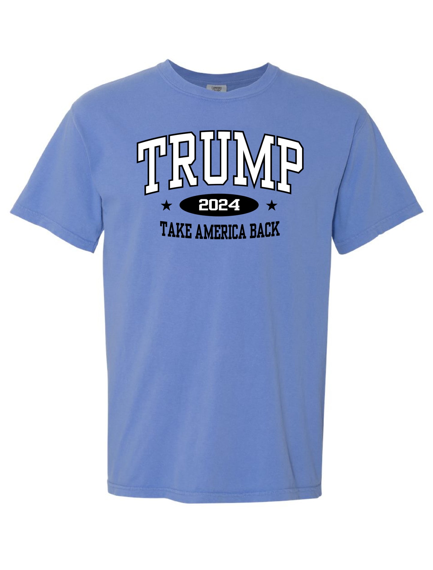 Take America Back Tee