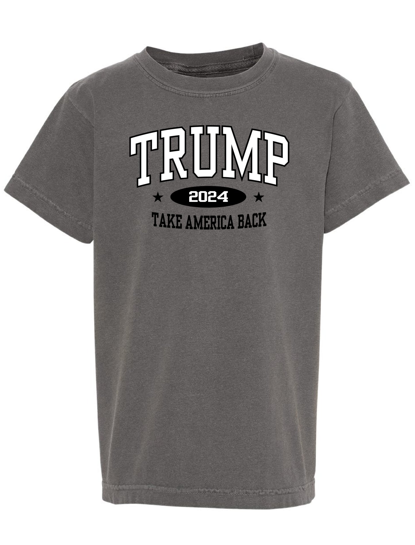 Take America Back Tee